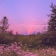 New Day Single