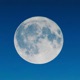 BlueMoon feat Zafiro Single