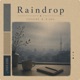 Raindrop Single
