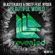 Beautiful World feat Ryder Ella Isaacson Single