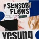 Sensory Flows The 1st Album