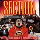 Section feat Big Banga Paidro Classic Single