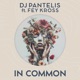 In Common feat Fey Kross Radio Mix Single