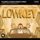 Lowkey with Liquid Silva Extended Mix Single