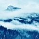 Winter Dreams Frozen Tune Single