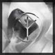 White Noise Single