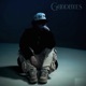 Goodbyes Single