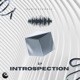 Introspection Single
