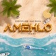 Amehlo feat Toshi Single