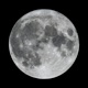 Full Moon Single
