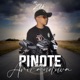 Pinote na Aricanduva Single