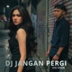 Jangan Pergi Remix feat Neva Chan Single