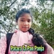 Patara Ta Pan Panja Single