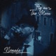 Fly Me To The Moon Single