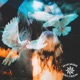 Doves Single