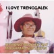 I love Trenggalek feat Mochamad Nur Arifin Single