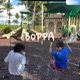 boppa feat David Favaru Aquamarine CoolXD312 gusx312 catgrenade Single