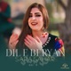 Dil e Beryan Single