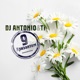 9 хризантем Single