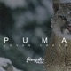 Puma Single