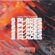 8 Places Single