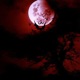 Rojo Sangre Single