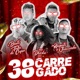 38 Carregado feat Mc Dricka Single