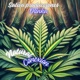 Natural Conexión Single