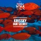 Our Secret Single