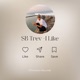 I Like Single