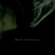 Never Said Sorry Single