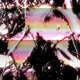 boxes feat Fijimar Single