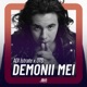 Demonii Mei Single