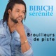 BROUILLEURS DE PISTE