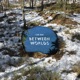 Between Worlds Single