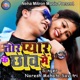 Tor Pyar Ke Chhaon Main Single
