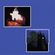 COLD FUSION Single