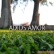 Adiós Amor Single