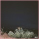 Butterflies Single
