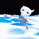 Skeleton Single