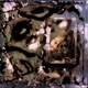 Irreversible EP