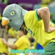 Dança do Pombo Single