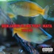 The End feat Maya Single