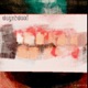 Change 236 Single