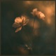 Time will heal you Solo Piano Single