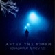 After the storm feat Matthew Tuck Single