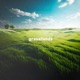 Grassfields Single