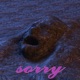 Sorry A 2020 Monologue Single