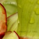 Brightly Lit Times EP