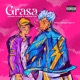 Grasa Single